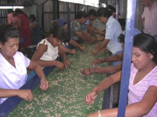COOPERATIVA ESPAMICA (33)